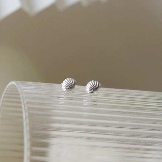Sea Shell Silver Earrings