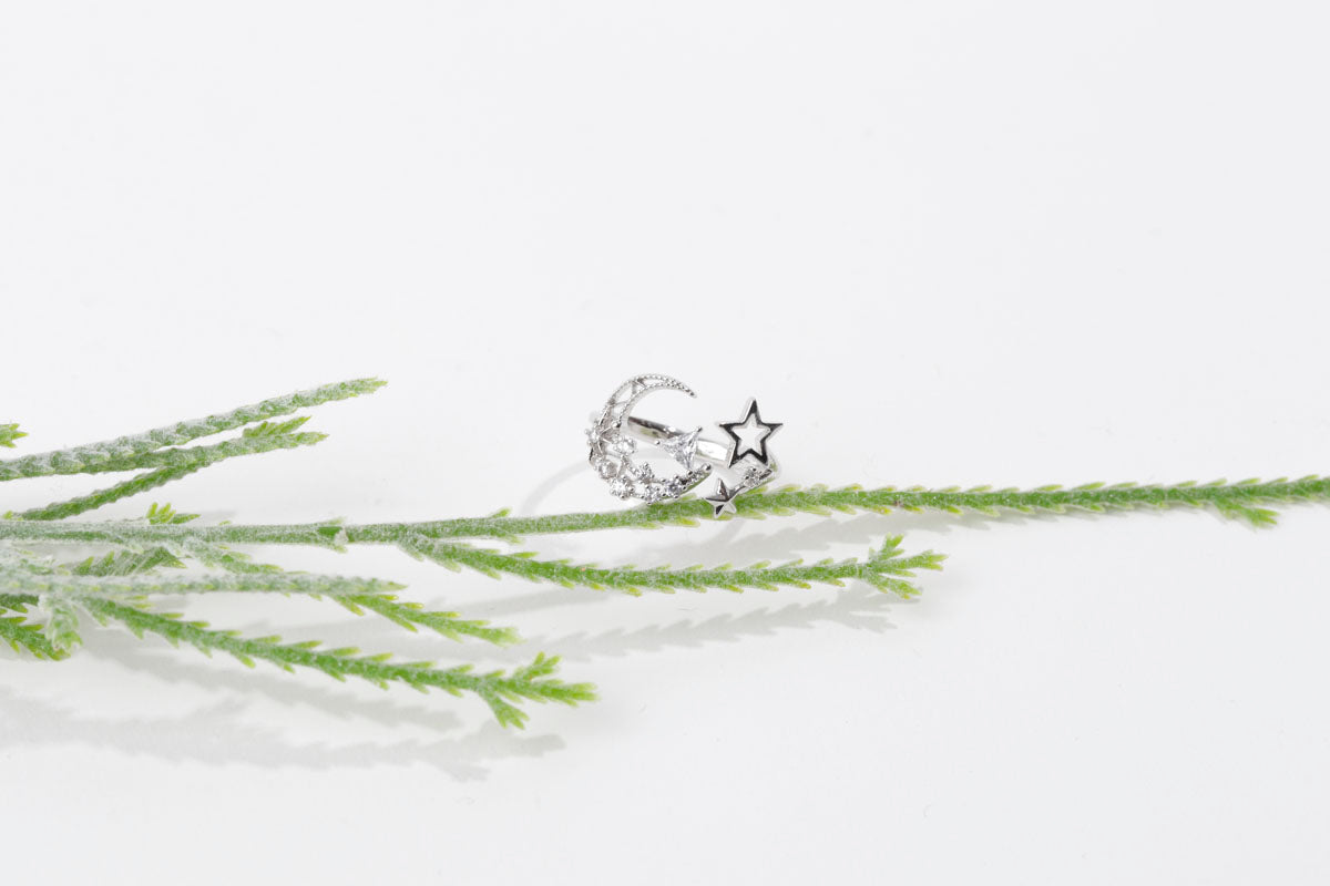 Silver ring with moon and star design on a white background with green branches.